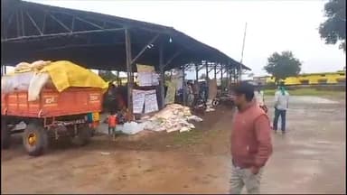 बलौदाबाज़ार: जिले में बारिश से किसान चिंतित,धान मे नमी आने का सता रहा डर,बाड़ी में रखे धान को बचाने त्रिपाल का सहारा.