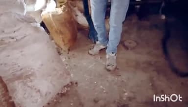 बासोदा: लाल पठार स्थित एक गोदाम से सर्प मित्र ने एक सर्प का किया रेस्क्यू