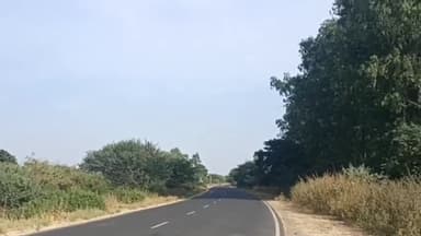 रतलाम नगर: अंजनी धाम के सामने सैलाना रोड पर अज्ञात दो पहिया वाहन चालक ने मारी स्कूटी को टक्कर, दो लोगों को आई चोट