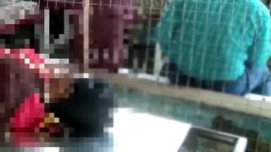 रतलाम नगर: तुलसी नगर में एक महिला ने पंखे पर साड़ी का फंदा बनाकर की आत्महत्या, 4 दिन पहले काट ली थी हाथ की नस