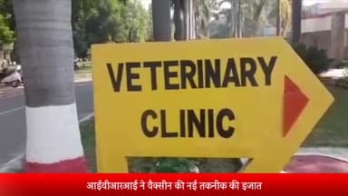 बरेली: आईवीआरआई ने वैक्सीन की नई तकनीक की इजात, अब पशुओं को नहीं मारना पड़ेगा