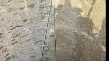 माण्डलगढ़: नंदराय गांव में कुएं से निकाला गया अजगर, वन विभाग को किया सुपुर्द