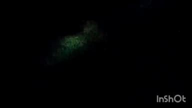 गोला गोकरणनाथ: जमालपुर गांव में दिखाई दिए ग्रामीणों को बाघ के बच्चे वीडियो हुआ वायरल , रात में जागकर रखवाली कर रहे लोग