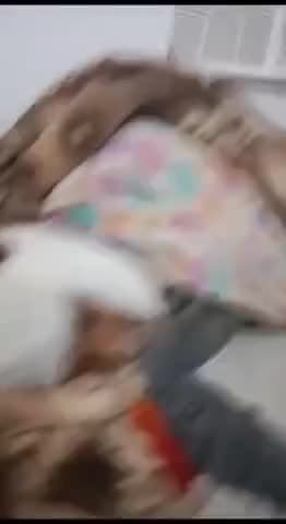 #मानिकपुर थाना क्षेत्र के गढ़चपा गांव में बच्चों के शुरू हुई लड़ाई दो पक्षो मे खुनी संघर्स का रूप ले लिया जिसमे एक ही