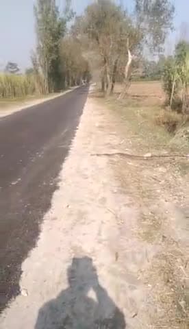 निघासन खीरी सलीमाबाद छेदुई पतिया मार्ग पे घाघी  पुलिया के पास सड़क पे देखा गया अजगर साँप