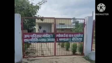 मधुबनी: बनाहवा मटियरिया गांव में बाघ ने गाय का किया शिकार, प्रशासन ने लोगों को जंगल की तरफ जाने से किया मना