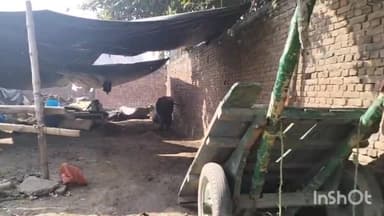 बरेली: बरेली में गंगा मंदिर परिसर में अवैध रूप से किया जा रहा है अतिक्रमण महन्त देवेंद्र प्रसाद चार्य ने एसएसपी को सिकायत की