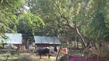 बलरामपुर समाचार जनता करे सवाल प्रधानमंत्री जी कैसे करेगा आपका गारंटी कॉम कैसे किसानों को कर पाएंगे खुशहाल जनता अधिकारियों की उदासीनता से किसान बेहाल यह ग्राम पीलीभीत ग्राम पंचायत सेखूईकला विकासखंड बलरामपुर जनपद बलरामपुर का हाल किसान दिवस मे