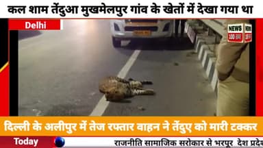 दिल्ली के अलीपुर में तेज़ रफ़्तार वाहन ने तेंदुए को मारी टक्कर मौके पर मौत देखिए तस्वीरें।