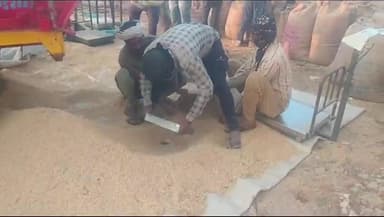 गोटेगांव: गुंदरई और बढ़ियाखेड़ा में धान खरीदी केंद्र का हुआ शुभारंभ किसनो के द्वारा लाई जा रही धान की हो रही तुलवाई