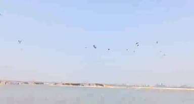 गढ़मुक्तेश्वर: ब्रजघाट स्थित गंगा में सात समुंदर पार से विदेशी साइबेरियन पक्षी पहुंचे, दूर-दूर से देखने पहुंच रहे हैं लोग