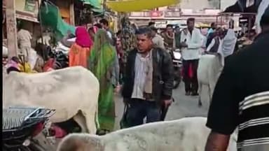 जीरापुर: माचलपुर नगर में सांडों का आतंक सब्जी खरीदने गये बुजुर्ग को साण्ड ने किया घायल घायल को किया रैफर,