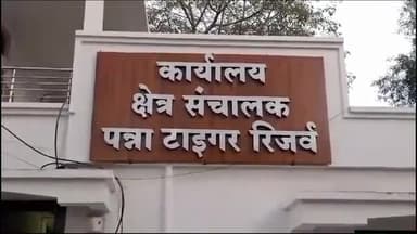 पन्ना: नए वर्ष को लेकर फुल हुई पन्ना टाइगर रिजर्व की बुकिंग न्यू ईयर वाले दिन प्रबंधन अनोखे अंदाज में करेगा पर्यटको का स्वागत।