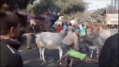 धनौरा: भारतीय किसान यूनियन असली के पदाधिकारी ने मंडी धनौरा तहसील गेट के सामने रोड पर बैठकर लगाया जाम