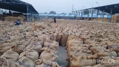 होशंगाबाद नगर: कृषि उपज मंडी में पूसा किस्म की धान ₹4200 प्रति क्विंटल के मान से बिकी, 200 क्विंटल धान की मंडी में हुई आवक