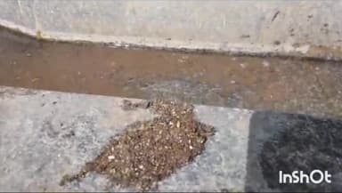 बासोदा: गंजबासौदा की कृषि उपज मंडी परिसर में सड़क नहीं होने से ट्रैक्टर का पहिया हुआ अलग, बड़ा हादसा टला