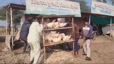 दलौदा: CM के आदेशों के बाद दलोदा क्षेत्र में थाना प्रभारी ने अंडे मांस मछली चिकन की रोड पर लगी अस्थाई दुकानों को हटवाया