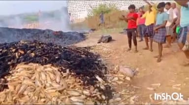 ಮುಂಡರಗಿ: ಶಿಗ್ಲಿ ಗ್ರಾಮದಲ್ಲಿ ವಿದ್ಯುತ್‌ ಅವಘಡದಿಂದ ಗೋವಿನ ಜೋಳದ ತೆನೆರಾಶಿಗೆ ಬೆಂಕಿ; ಅಪಾರ ಪ್ರಮಾಣದ ಹಾನಿ