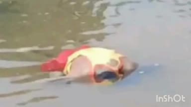 दंतेवाड़ा: इंद्रावती नदी में डूबकर युवक की मौत,मछली पकड़ते वक्त  हुआ हादसा ..