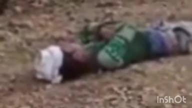 सिरोंज: पामाखेड़ी ग्राम पंचायत के समीप एक तेज़ रफ़्तार मोटरसाइकिल अनियंत्रित होकर गिरी, एक युवक हुआ घायल