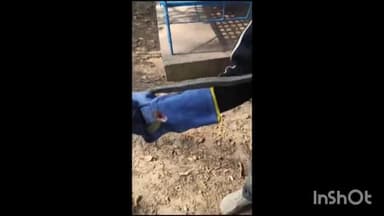 होशंगाबाद नगर: एसपीएम कॉलोनी स्थित एक मकान में निकला चेकर्ड किलबेक प्रजाति का सांप, सर्प मित्र ने रेस्क्यू कर पकड़ा