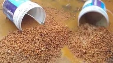 बानो: सोय कुम्हारटोली में अवैध महुआ शराब के खिलाफ चलाया पुलिस ने छापामारी अभियान,30 किग्राम जावा महुआ एवं तीन लीटर शराब बहाया