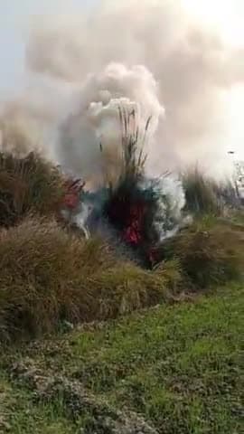 जौनपुर: ग्राम पंचायात झांसेपुर में प्रशासन के रोक बावजूद किसानों द्वारा धड़ल्ले से जलाई जा सरपत जिसे वातावरण प्रदूषित हो रहा है