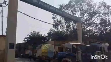 भीकनगांव: भीकनगांव कृषि उपज मंडी में सफेद सोने की हुई बंपर आवक कपास का अधिकतम भाव 6880 रुपए प्रति क्विंटल रहा