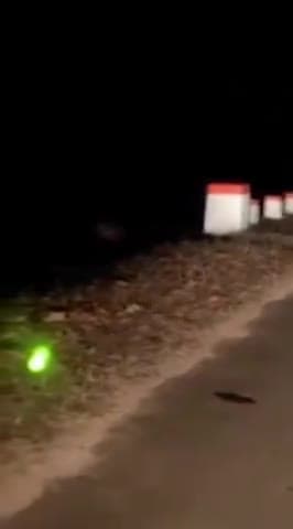 विदिशा नगर: कुरवाई के ग्राम टेंकू में दिखा शेर गांव वाले हुए परेशान #शेर #Aajtak #zeenew #news कुरवाई