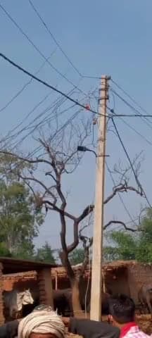 मड़िहान: मड़िहान:रैकरी गाव में विजली के पोल से तार टूटकर भैस पर गिरी मौके पर भैस की हुई मौत।पशुपालक ने संबंधित विभाग को दी सूचना