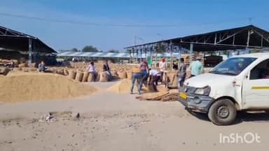 होशंगाबाद नगर: कृषि उपज मंडी में पूसा किस्म की धान ₹4200 प्रति क्विंटल के मान से बिकी, 250 क्विंटल धान की मंडी में हुई आवक