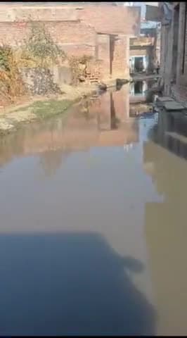 सैफई: कुम्हावर गांव में सीसी सड़क बनने के बाद नाली ना बनने के कारण हुआ जल भराव,ग्रामीण परेशान