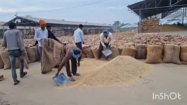 होशंगाबाद नगर: कृषि उपज मंडी में 1718 किस्म धान की सबसे अधिकतम दाम रु4120 प्रति क्विंटल के मान से बिकी 250 क्विंटल धान की मंडी हुई आवक