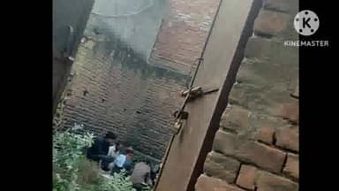 कोल: थाना सासनी गेट के अंतर्गत सरेआम खेला जा रहा जुआ, प्रशासन है बेखबर; वीडियो हुआ वायरल