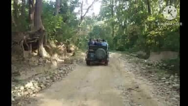 सिधाव: वाल्मिकीनगर में जंगल सफारी की गाड़ी पेड़ से टकराई 6 घायल