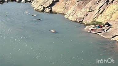 तोकापाल: ग्राम करंजी के कोयर नाला में रिटायर आयुर्वेदिक डॉक्टर की डूबने से मौत