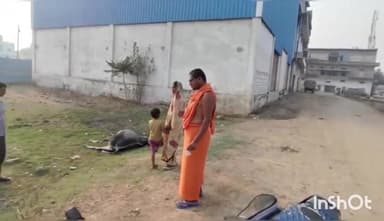 टीकमगढ़: कुंवरपुरा रोड पर दाल मील के पास जहरीला पदार्थ खाने से दो मवेशियोें की हुई मौत, गो-सेवकों ने पुलिस को दी सूचना