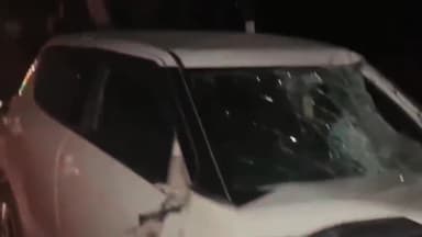 जगाधरी: गाबा अस्पताल के पास तेज रफ्तार कार चालक ने बैल को मारी टक्कर, हुई मौत