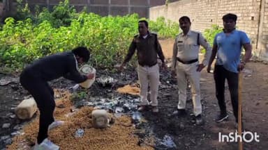 बाबई: कुचबंदिया मोहल्ला में आबकारी विभाग ने की कार्रवाई 30 लीटर अवैध शराब सहित 600 किलोग्राम अवैध महुआ लहान किया जप्त