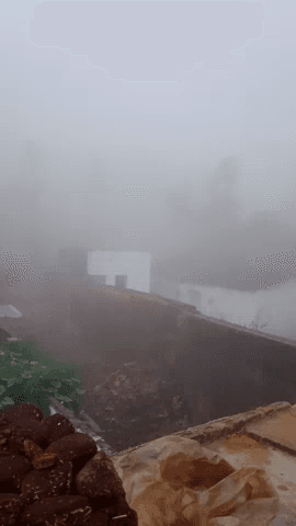 घुवारा: घुवारा क्षेत्र में बहुत तेज़ कोहरा छाया हुआ है
#घुवारा जिला छतरपुर