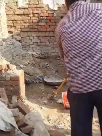 बहराइच: बडीहाट इलाके में आबादी के बीच निकला रसल वाइपर साँप सूचना मिलने के बाद मौके पर पहुंची वन विभाग की टीम ने किया रेस्क्यू