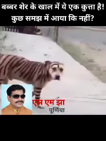 साथियों आप किसी कुत्ते को बब्बर शेर समझने की भूल मत कीजिए...शेर वो हैं जो बिना किसी सुरक्षा के आपसे मिल सके
एस एम झा