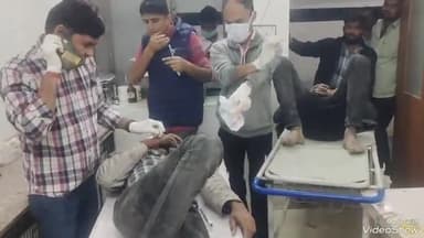 रानीवाड़ा: रानीवाडा के पाल गांव में बाइक स्लिप होने से दो लोग गंभीर रूप से हुए घायल