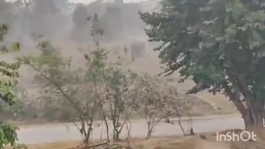 सोनाहातु: हाथियों का झुंड पहुंचा मुरूतडीह, आसपास के लोगों को हाथी मित्र कर रहे अलर्ट