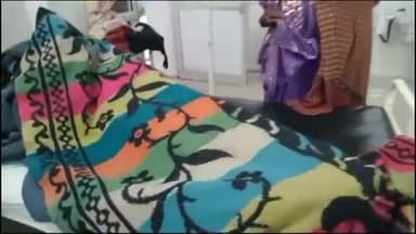 पन्ना: रानीपुरा में पुरानी रंजिश के चलते युवक पर पत्थरों से किया गया हमला, ₹15000 व स्मार्टफोन भी छीना