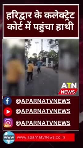 #फरियादी हाथी पहुंच कोर्ट पर आप भी देखे,😂😂😂😂😂🤣👌👌👌#news #aparnatvnews #atn #hathi