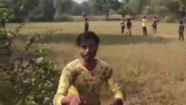 भरनो: अम्लीया में एक हाथी ने खेत में लगी फसलों को पहुंचाया नुक़सान, प्रभावित किसानों ने वन विभाग से की मुआवजे की मांग