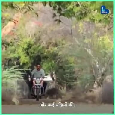 इस शख्स की वजह से गुजरात के अभ्यारण्य में है 150 से भी ज़्यादा मोर
#animallovers #birdlovers #bird #realheroes #feedingbi