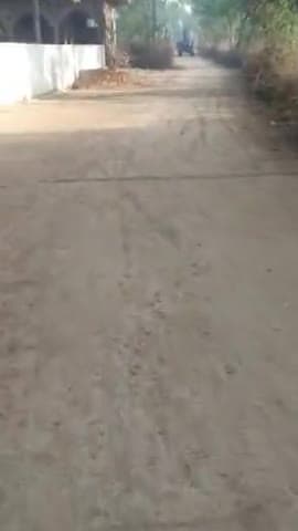 नगर परिषद कारी में जंगल तरफ से आने वाले ट्रैक्टर की ट्रॉली में अवैध रेत के परिवहन का वीडियो सोशल मीडिया पर हुआ वायरल।