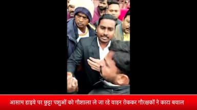 पूरनपुर: आसाम हाइवे पर छुट्टा पशुओं को गौशाला ले जा रहे वाहन रोककर गौरक्षकों ने काटा बवाल ट्रैक्टरों की चाबियां छीनकर की हाथापाई